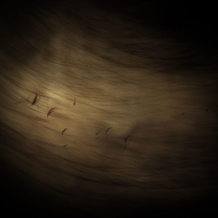 002 DARK_IvanMartinSuarez