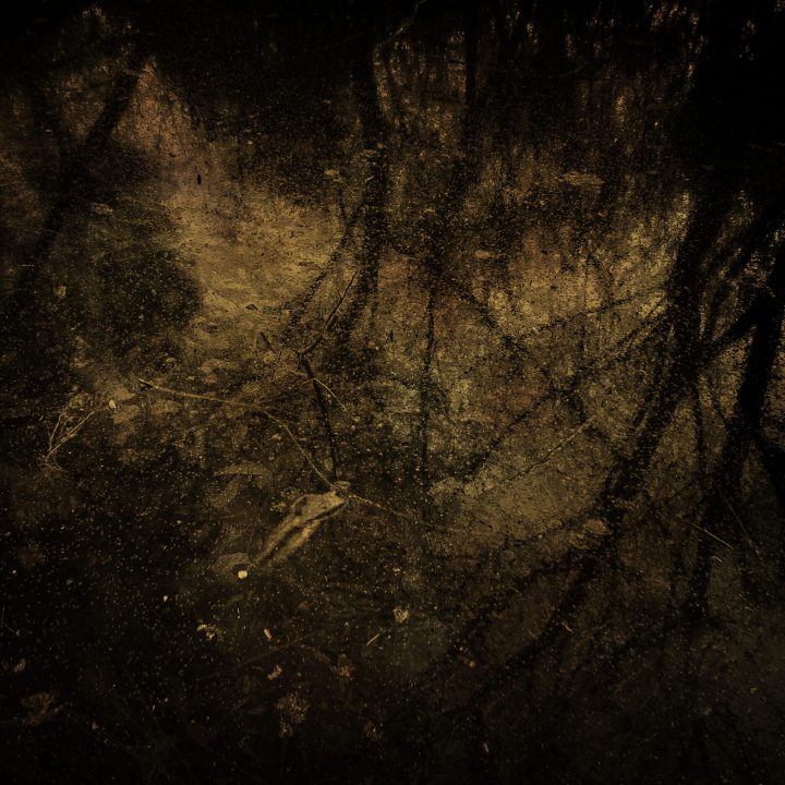 021 DARK_IvanMartinSuarez