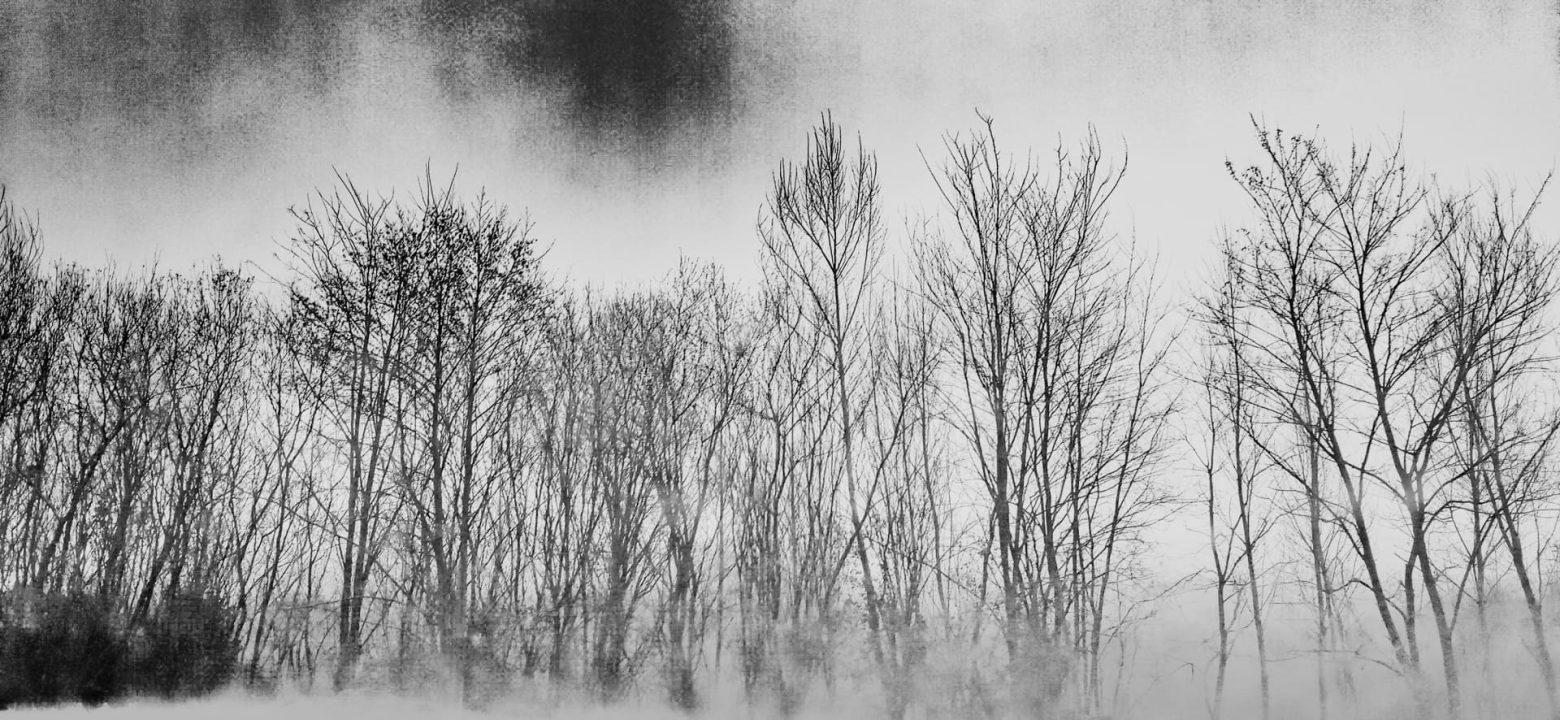 09_leonorUriarteIMG_20220130_110302_1