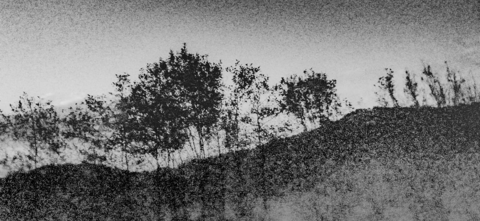 17_leonorUriarte2021-11-01 17.46.17