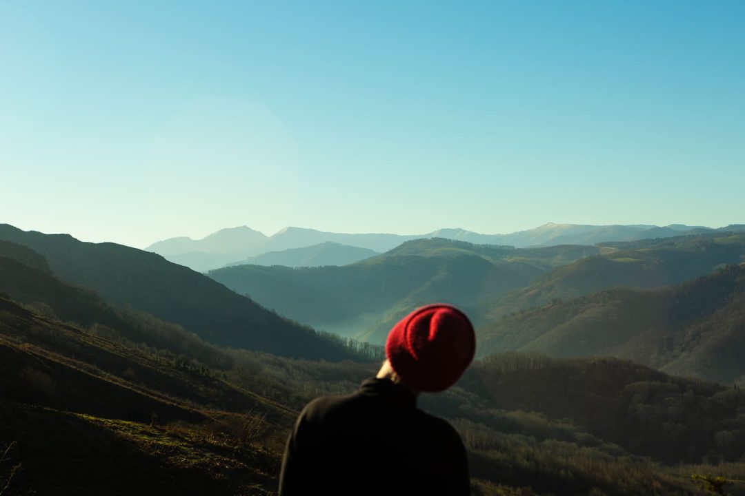 51841541875_4b992815f6_o