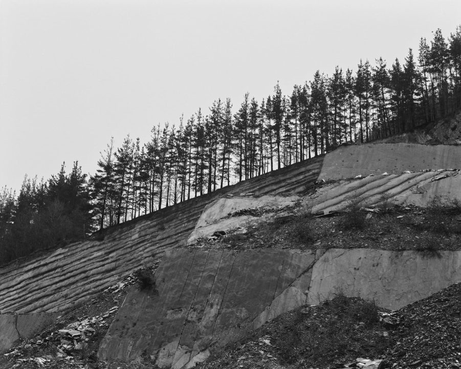 Amildegi (1)