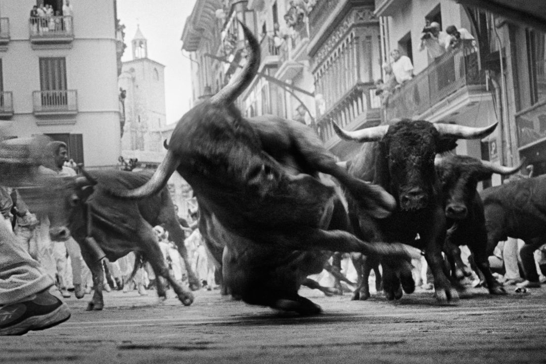San Fermín Aretxabaleta Expo TIFF -6