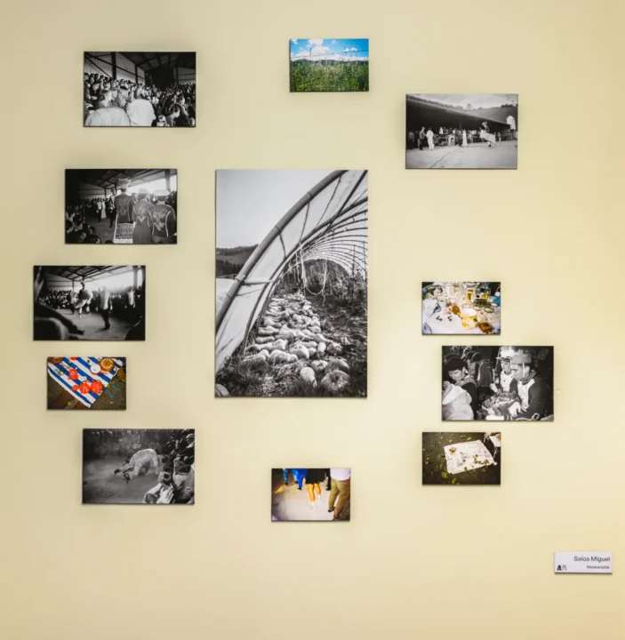exposición web-9